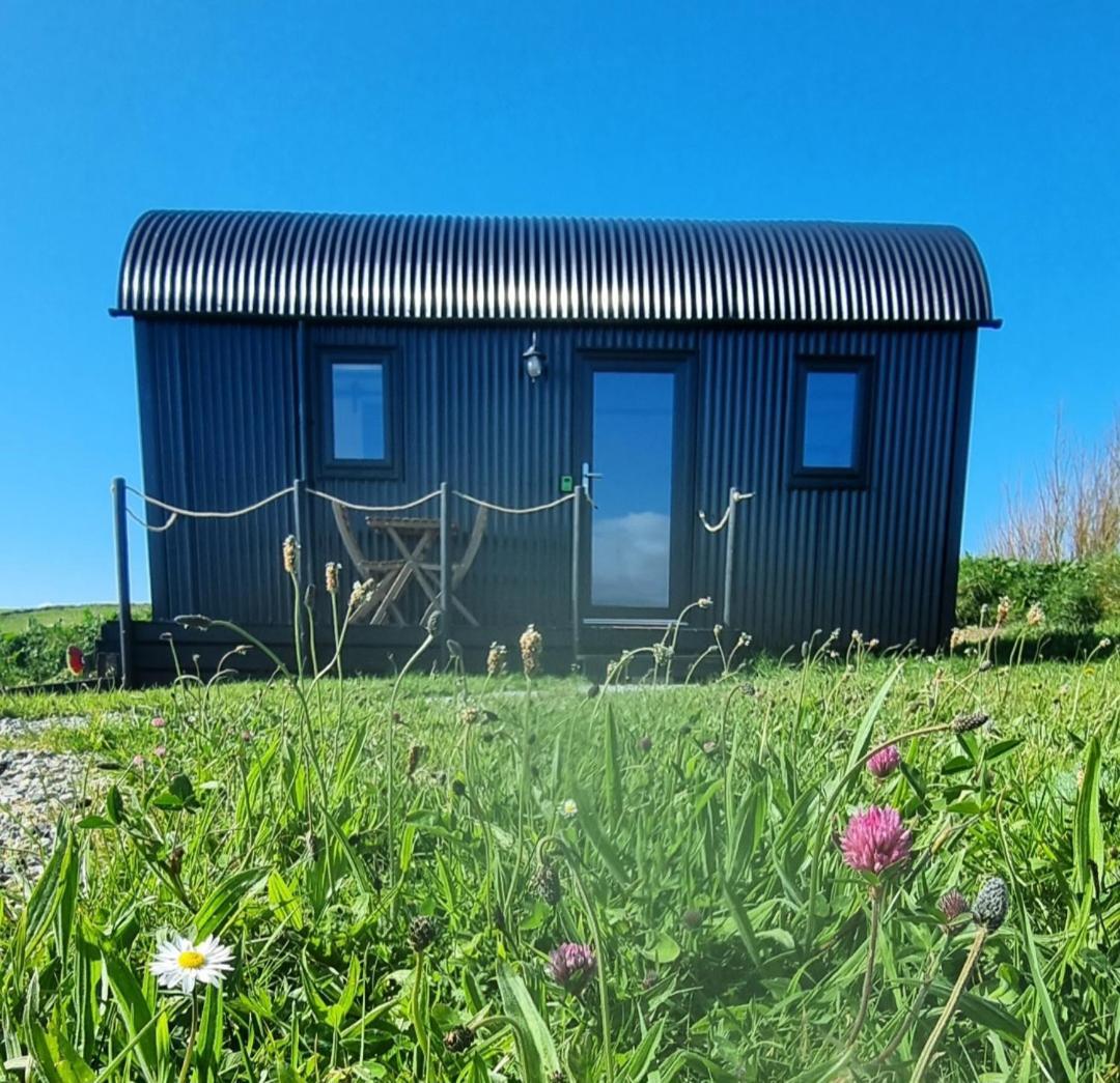 Вілла Wild Meadow Huts Дулін Екстер'єр фото