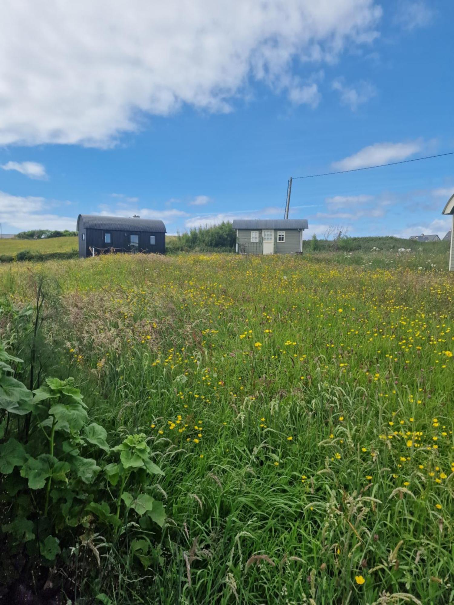 Вілла Wild Meadow Huts Дулін Екстер'єр фото