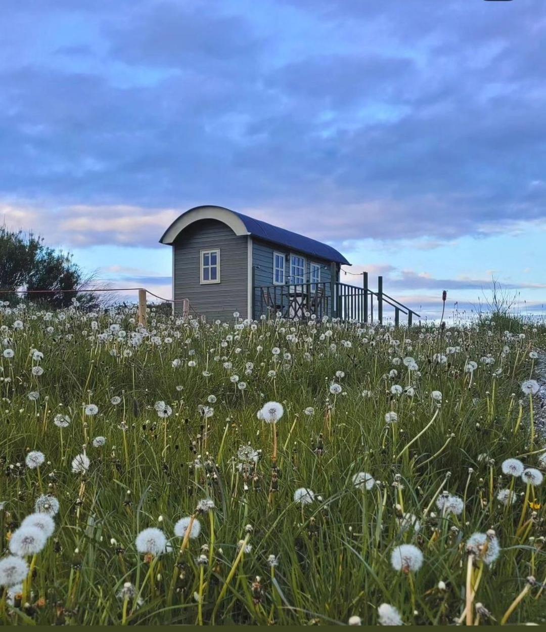 Вілла Wild Meadow Huts Дулін Екстер'єр фото