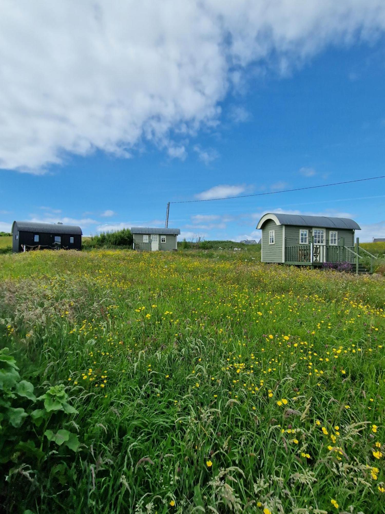 Вілла Wild Meadow Huts Дулін Екстер'єр фото