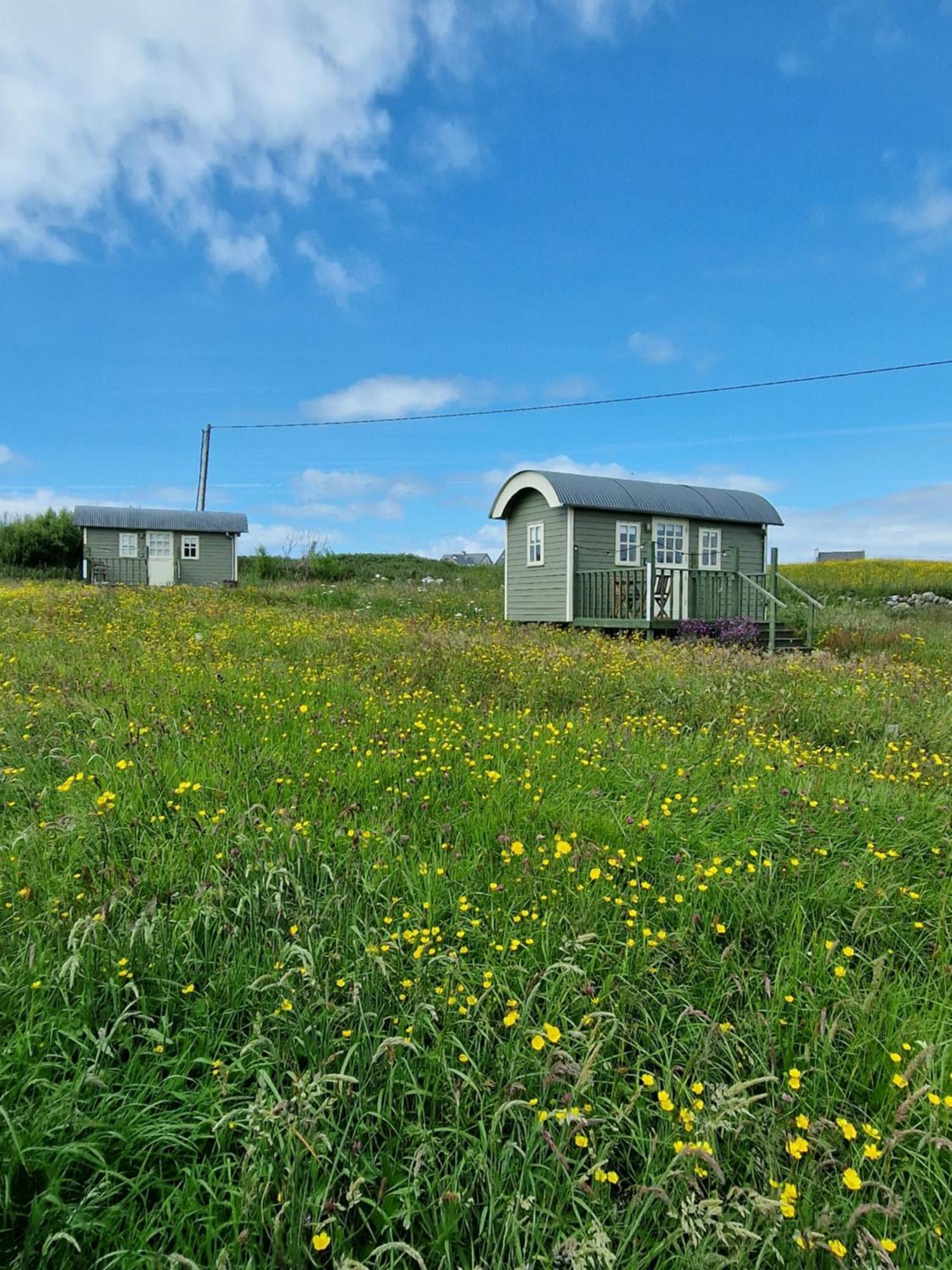 Вілла Wild Meadow Huts Дулін Екстер'єр фото